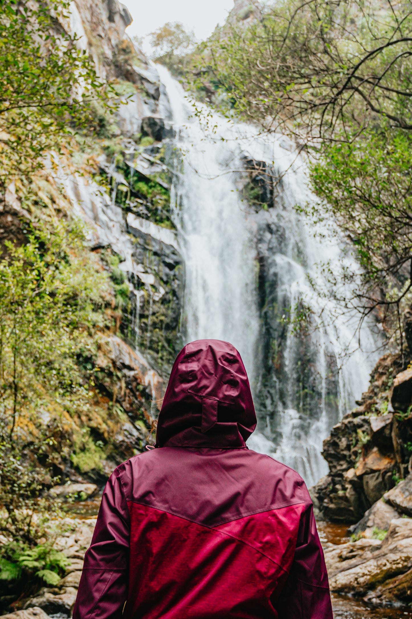 Wall